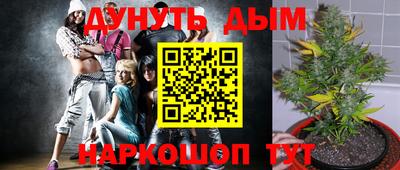 спайс Боровичи