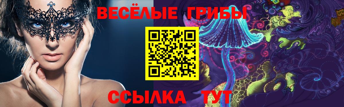 Псилоцибиновые грибы Cubensis  Вход с VPN  Выборг 